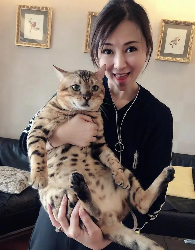 翁虹太可爱了，抱着猫猫装“猫妈妈”，穿黑色运动服也藏不住活力