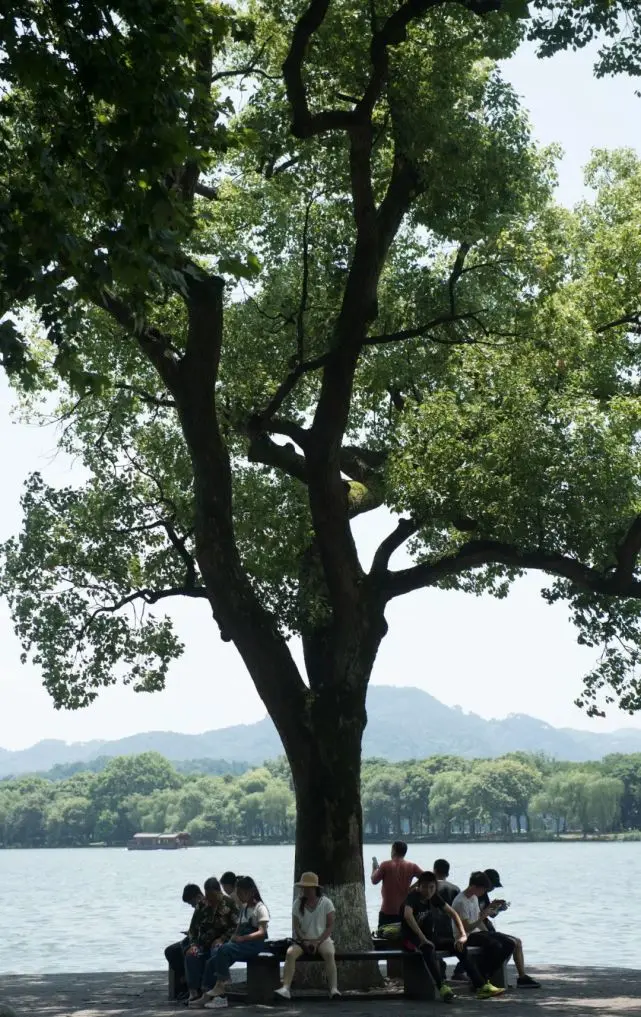 云天收夏色，木叶动秋声