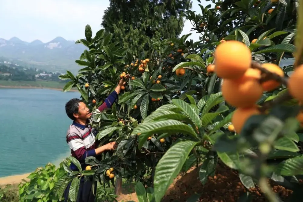 云天收夏色，木叶动秋声