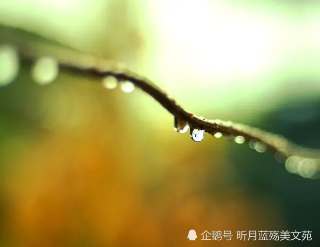 时光煮雨，我思念你一生