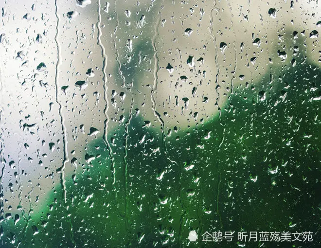 时光煮雨，我思念你一生