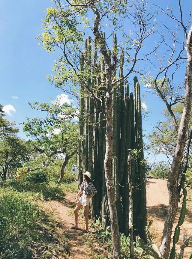 6年前，那个和陈赫离婚环游世界的蕾拉小姐，后来怎么样了？