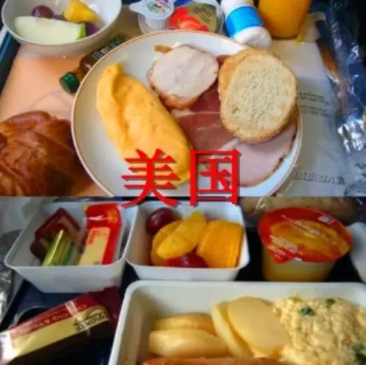 都是“飞机餐”，中国的好吃，美国的简单，看到印度：来受苦的
