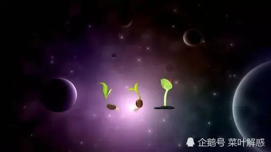 为什么上过太空的种子会结出比较大的果实？