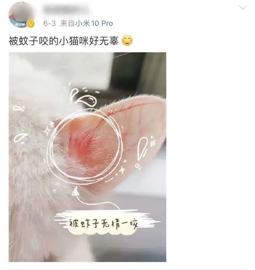 你给猫剃光毛的样子，就像顶流网红丢了滤镜一样！