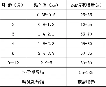 橘猫小时候有多软萌？没有对比就没有伤害！