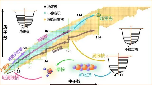 为什么自然界中最重的元素是铀？宇宙中没有比铀更重的元素吗？