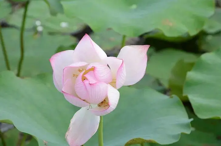 传统节日里，你家还有哪些保留习俗？