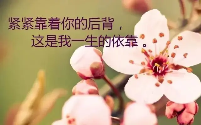 发朋友圈的人生感悟哲理经典励志句子，字字透彻，值得深思！