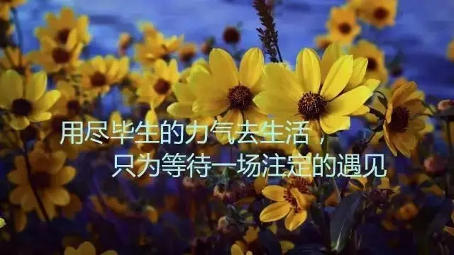 发朋友圈的人生感悟哲理经典励志句子，字字透彻，值得深思！