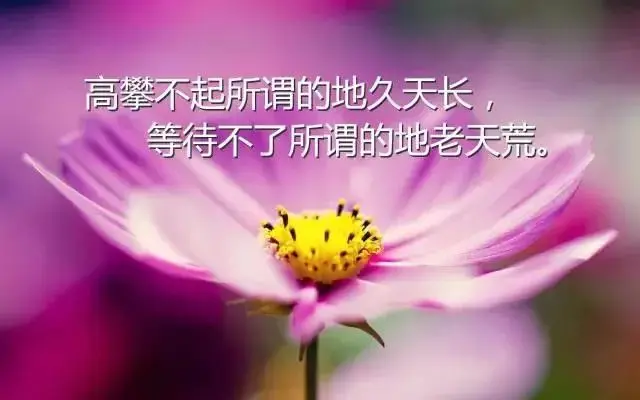 发朋友圈的人生感悟哲理经典励志句子，字字透彻，值得深思！