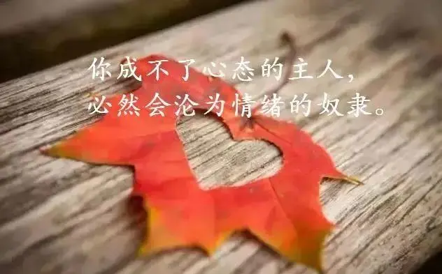 发朋友圈的人生感悟哲理经典励志句子，字字透彻，值得深思！