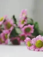 活著就要快樂，因為我們會死很久！