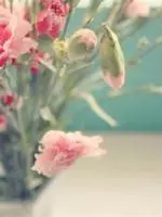 活著就要快樂，因為我們會死很久！