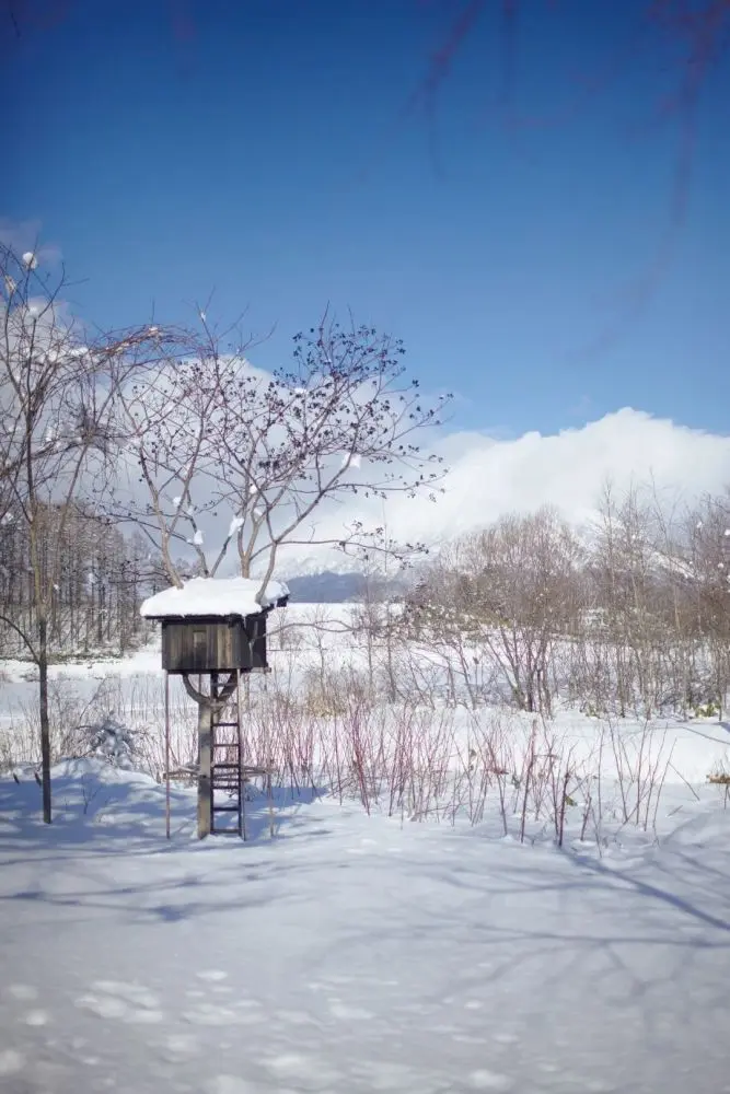 为村上春树设计住宅的建筑师，在北海道盖了这样一座面包房