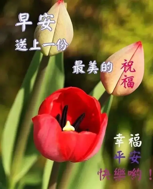 发朋友圈的早安小句子，温暖治愈，你最喜欢哪句？