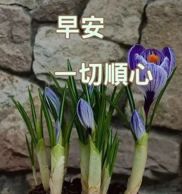 发朋友圈的早安小句子，温暖治愈，你最喜欢哪句？