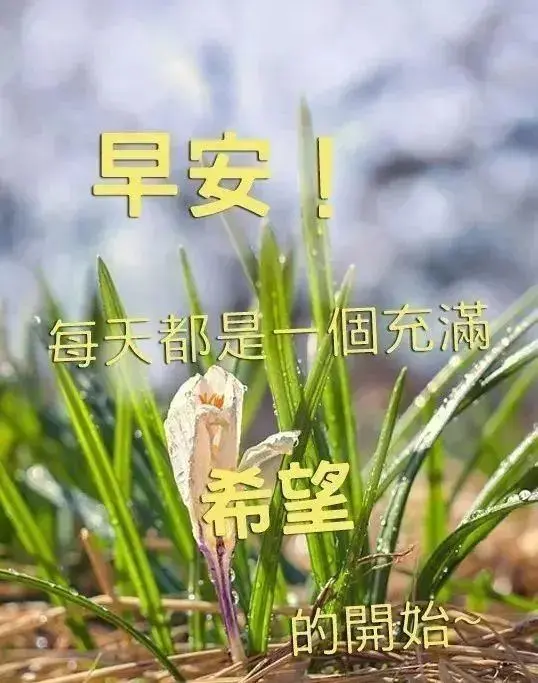 发朋友圈的早安小句子，温暖治愈，你最喜欢哪句？