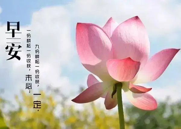 发朋友圈的早安小句子，温暖治愈，你最喜欢哪句？