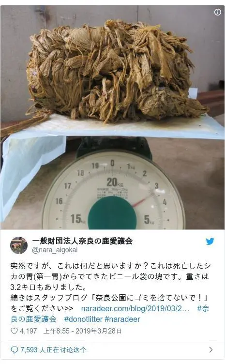 史上最严禁塑令，怎么愉快喝奶茶？