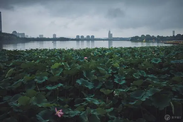 八十八张照片看金陵