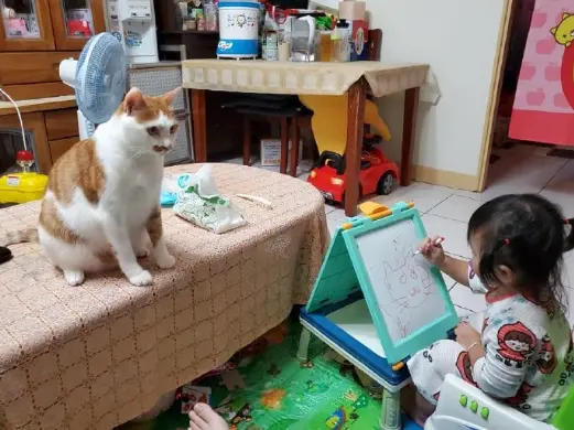 孩子给猫画像，猫看了都想哭