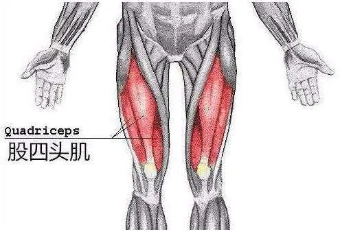 大腿前侧紧，腿粗难看？这些瑜伽动作要常练！