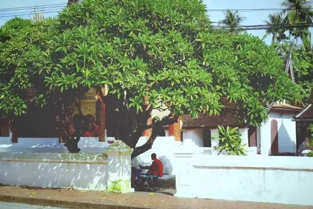 30年前没空调，我们是这样过夏天的，看哭所有人